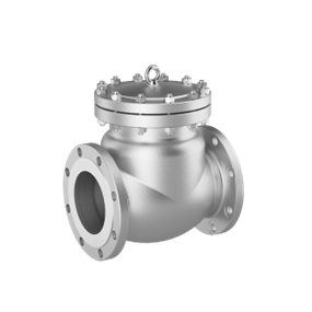 Check Valve - Flowlink Valves & Controls